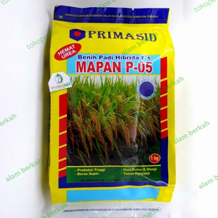 Benih Padi Hibrida F1 MAPAN 05 1 kg