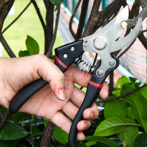 Gunting Dahan Pruning Buah alat bonsai SK5 jepang black