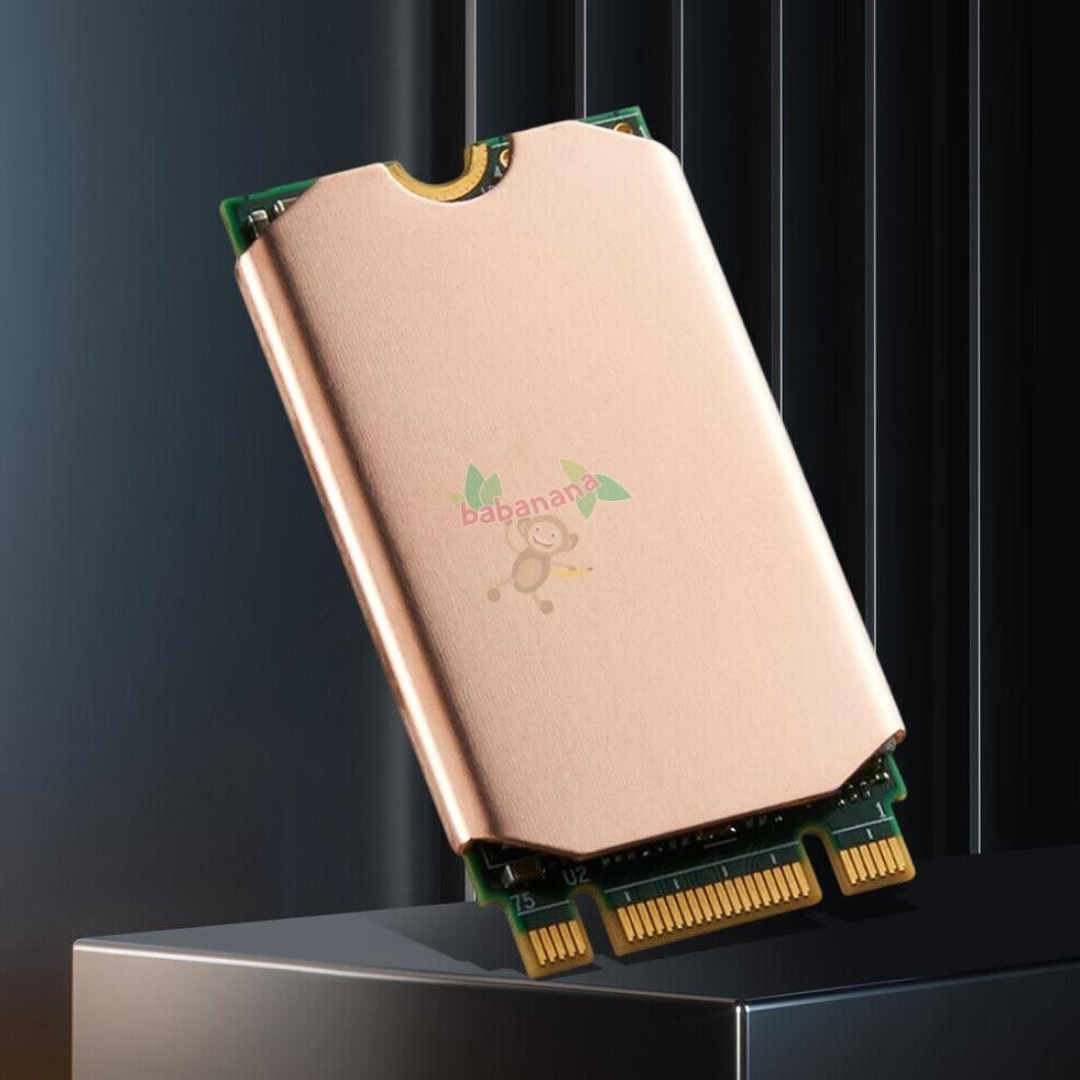 Heatsink Ssd M.2 Nvme M.2 Sata 2242 Cooling Steam Delaptop Cooler M2