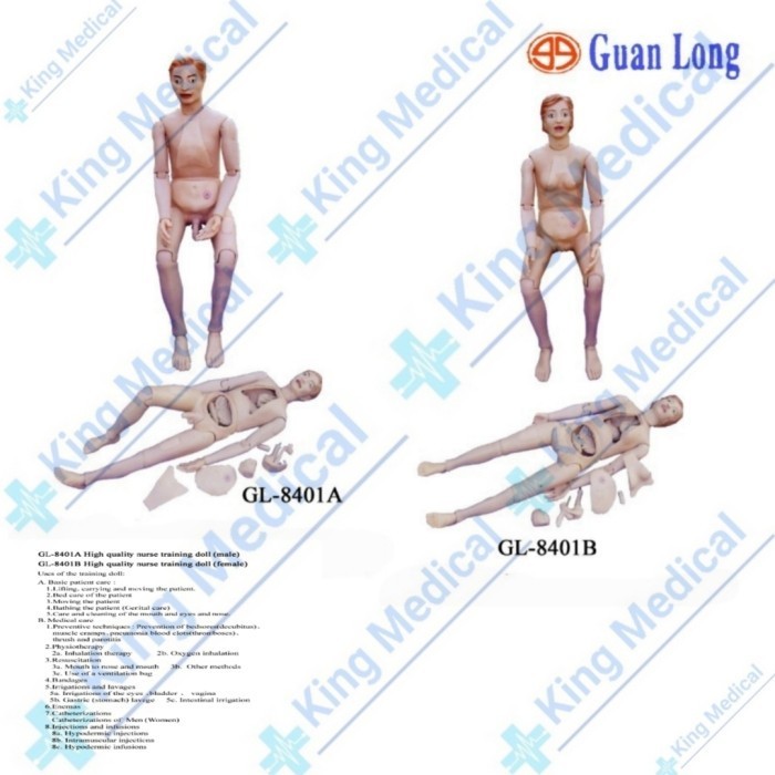 Alat Peraga/Manekin/Torso Manusia utuh Nurse Training Doll GL 8401A/B