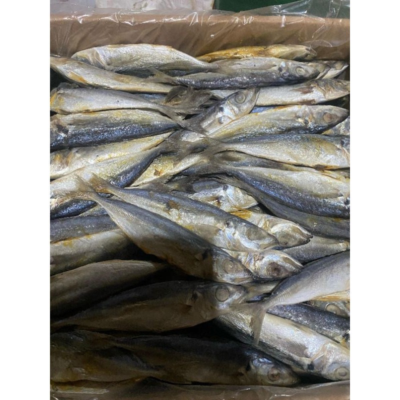 

1KG IKAN ASIN PEDA /PEDO PEDO PUTIH K1 BESAR / IKAN LAYANG