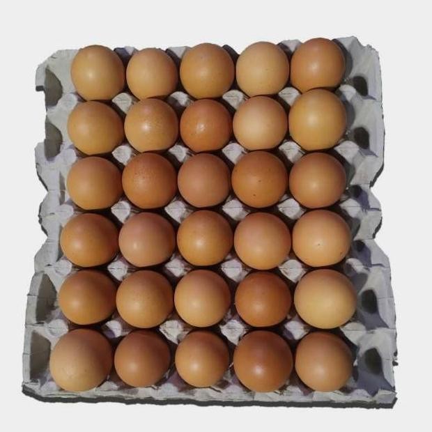 

Telur Negri Lokal Fresh 1 tray isi 30 butir