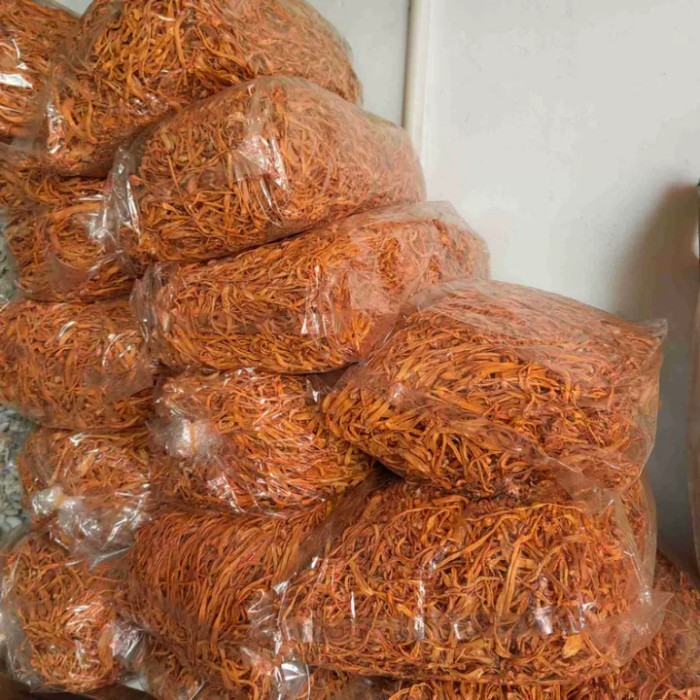 

500G Cordyceps Mushroom Flower Jamur Cordyceps Militaris Cong Cao Hua