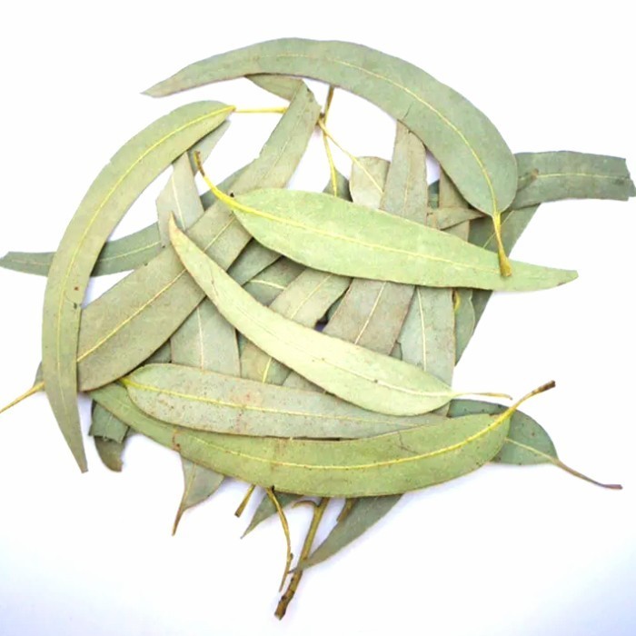 

Whole Dried Eucalyptus Leaf Daun Kayu Putih Herbal Tea
