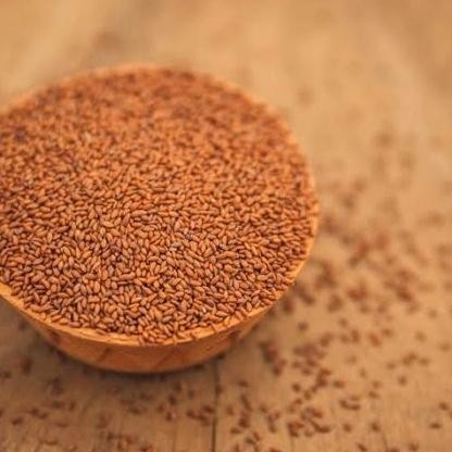 

F67A Garden Cress Sees Grosir - Biji Selasih Merah