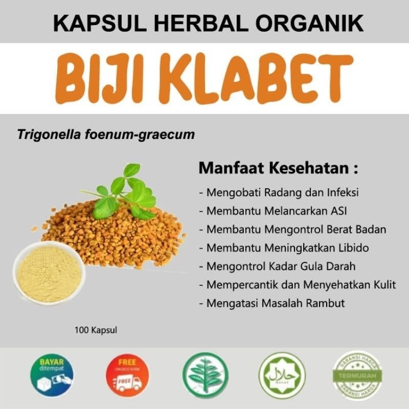 KAPSUL BIJI KLABET 100% HERBAL MURNI