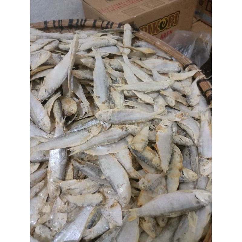 

IKAN ASIN CAMPURAN MIX MURAH 1KG