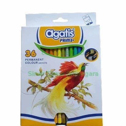 

Pensil Warna AGATIS Prime (Produksi Staedler) 36 Warna