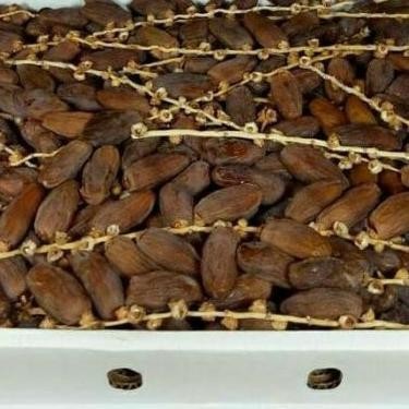 

POJ Kurma fruit Tunisia tangkai ukuran 1kg exp2025 TERLARIS