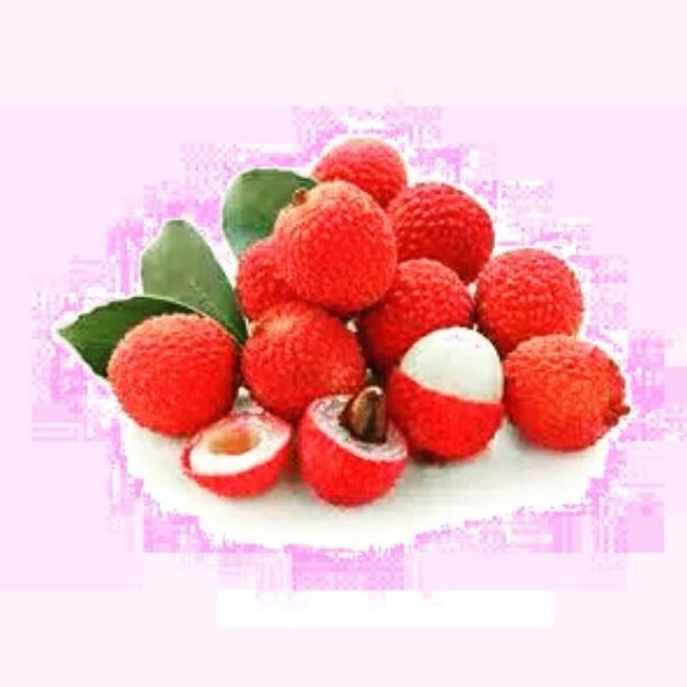 Omahijoofficial Bibit Tanaman Buah Leci ! Bibit Buah Murah ! Bibit Leci Murah !