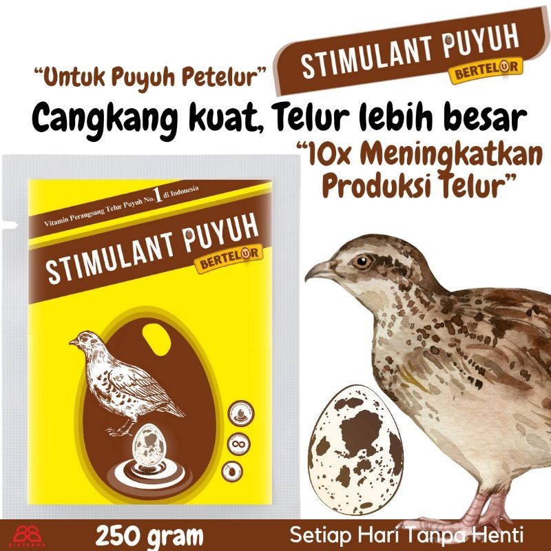 STIMULANT PUYUH BERTELUR Vitamin burung puyuh meningkatkan produksi telur maksimal dan cangkang telur lebih kuat menambah nafsu makan dan mengurangi bau amoniak - BISTERNA