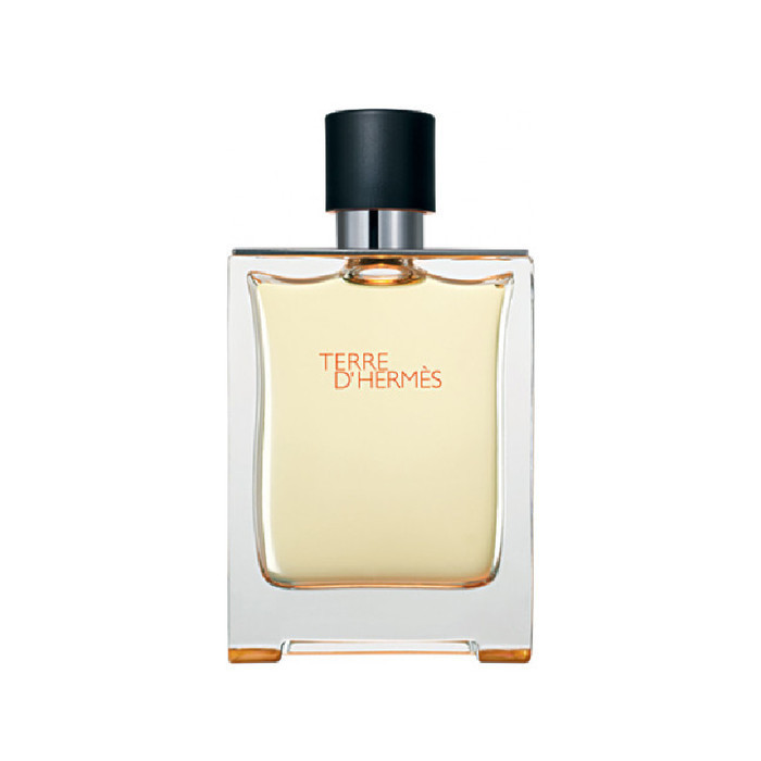 Terre D Edt Man - 100 Ml