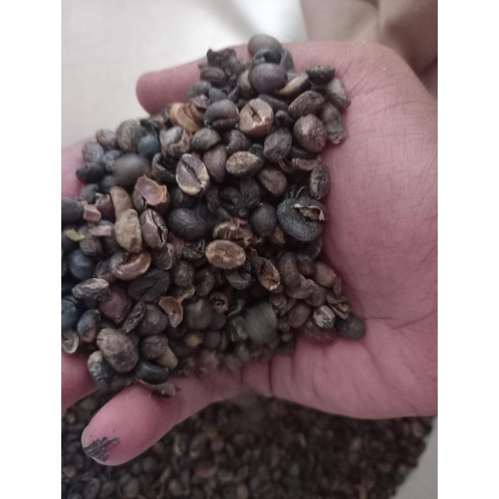 

Baru Kopi Biji/Green Bean Robusta Grade Pixel 1Kg Asli