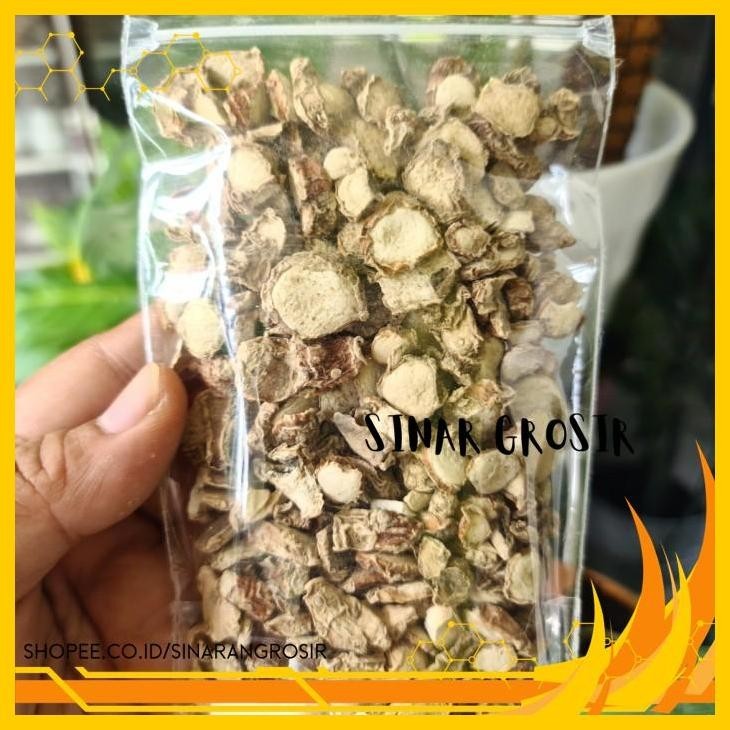 

KENCUR KERING ASLI 100GR KUALITAS BAGUS KUALITAS SUPER