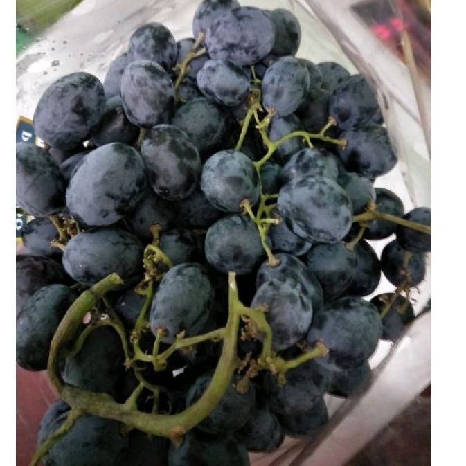 

Anggur Autumn Manis 500gr/1kg
