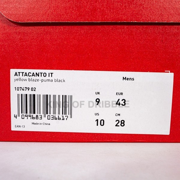 Sepatu Futsal Puma Attacanto It 107479-02 Original Bnib