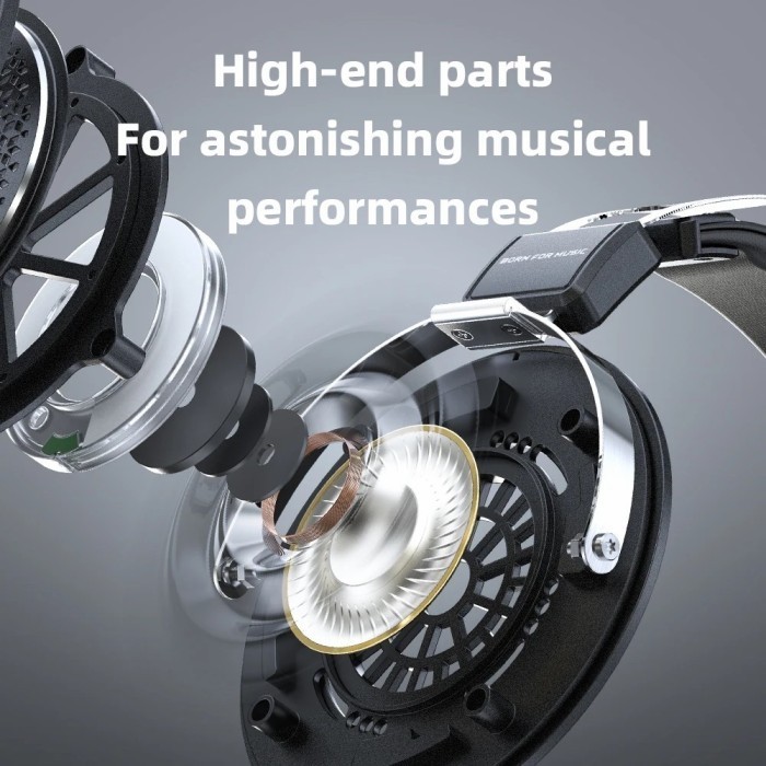 Fiio Jt1 /Jt-1 Hifi Dynamic Over Ear Headphone With Mic