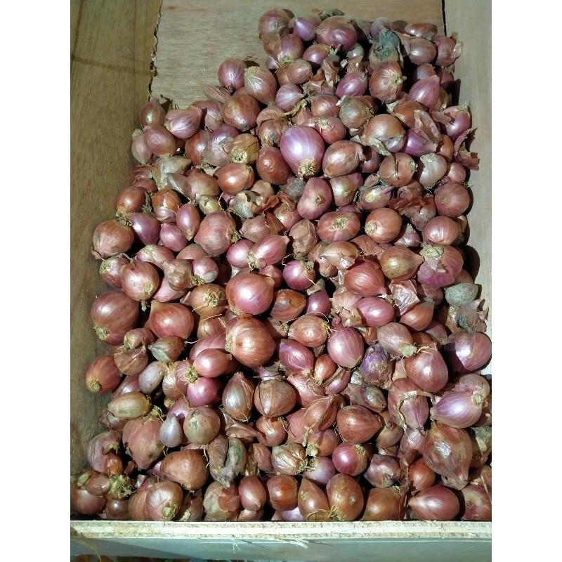 

Bawang Merah