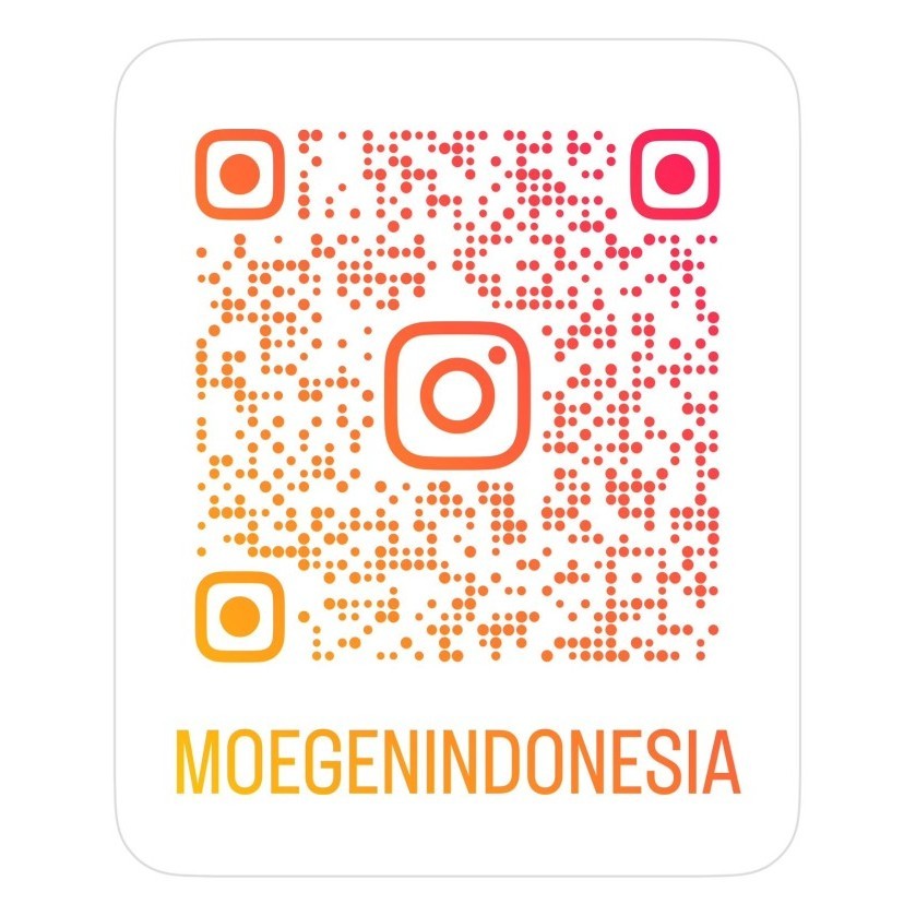 Wok Pan Moegen Germany With Steamer 30Cm