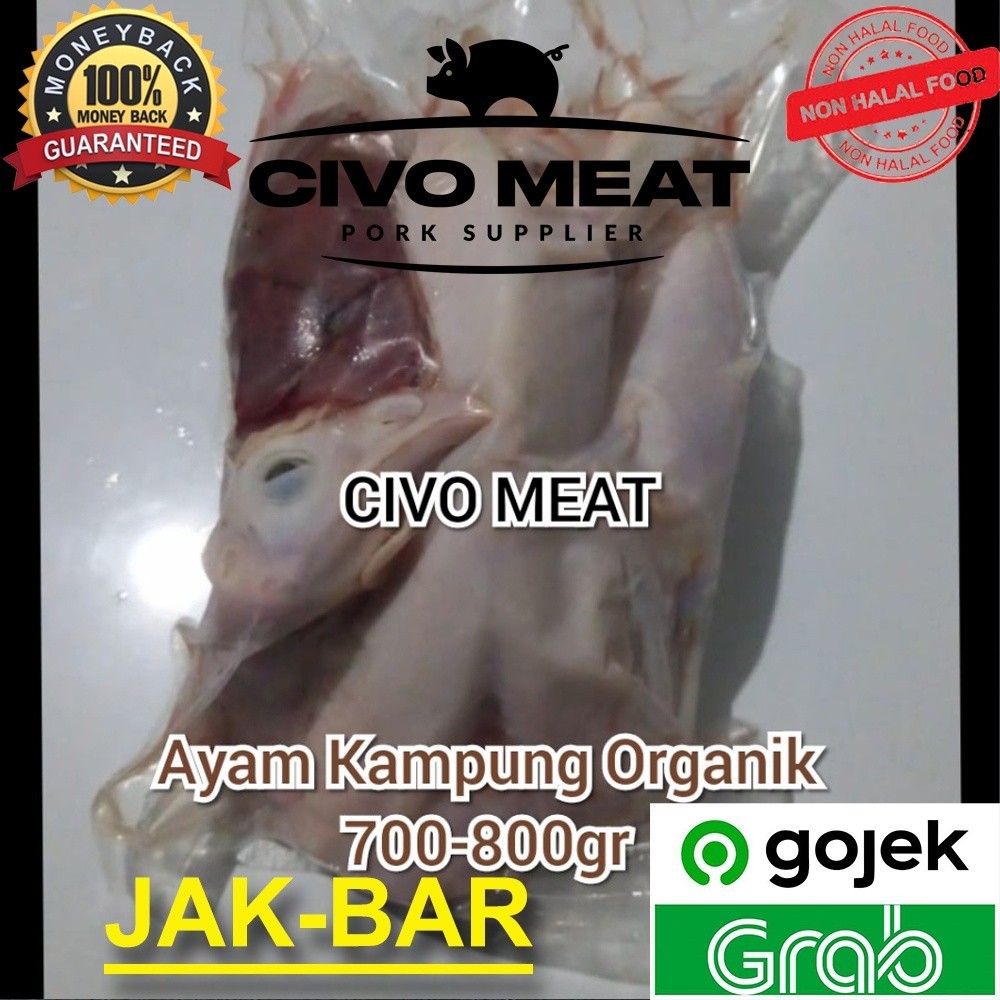 

Ayam Kampung Organik 1Ekor 700-800Gr Frozen - Dijamin Bersih No Bulu -Gratisongkir