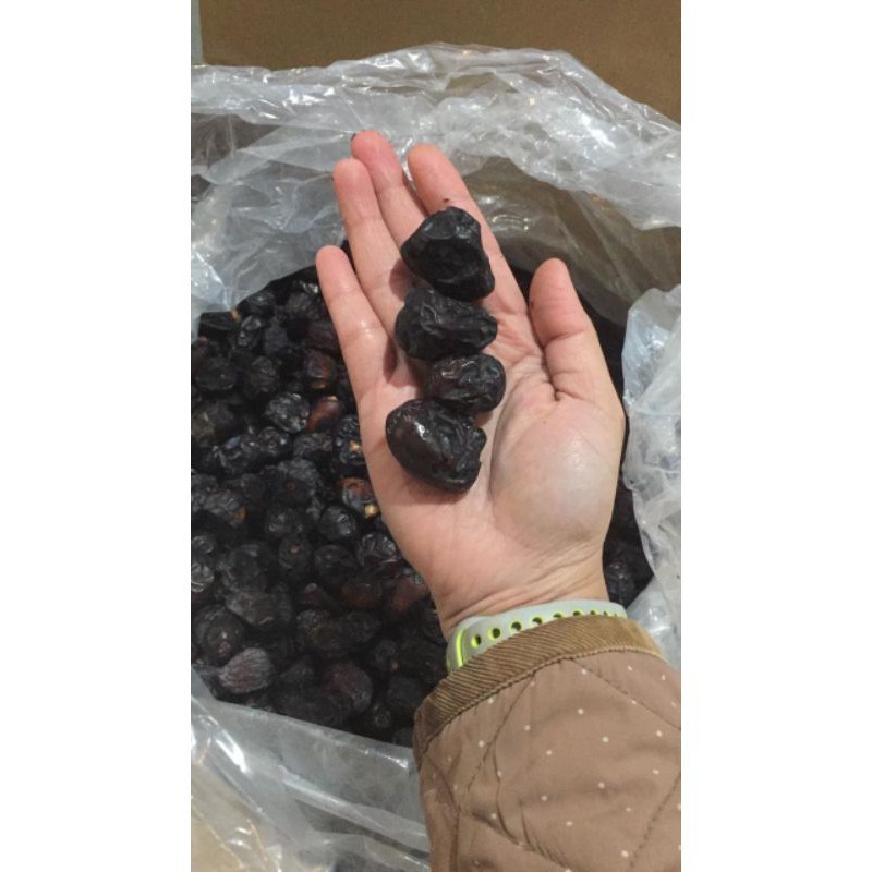 

KURMA AJWA MADINAH || KURMA NABI || KURMA AJWA AL AMAL