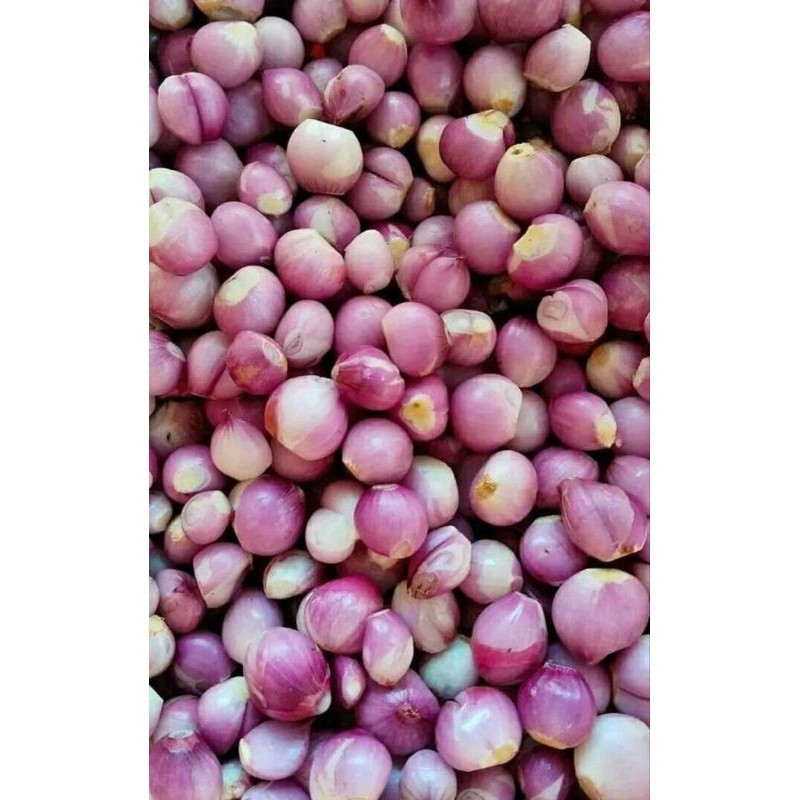 

bawang kupas/250gram/500gram/1kg/cod