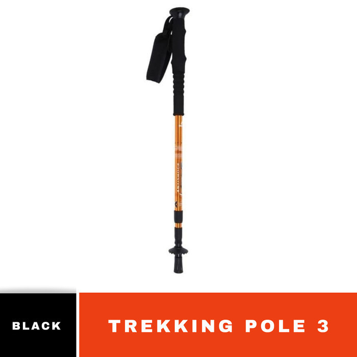 Eiger Trekking Pole 3 Section