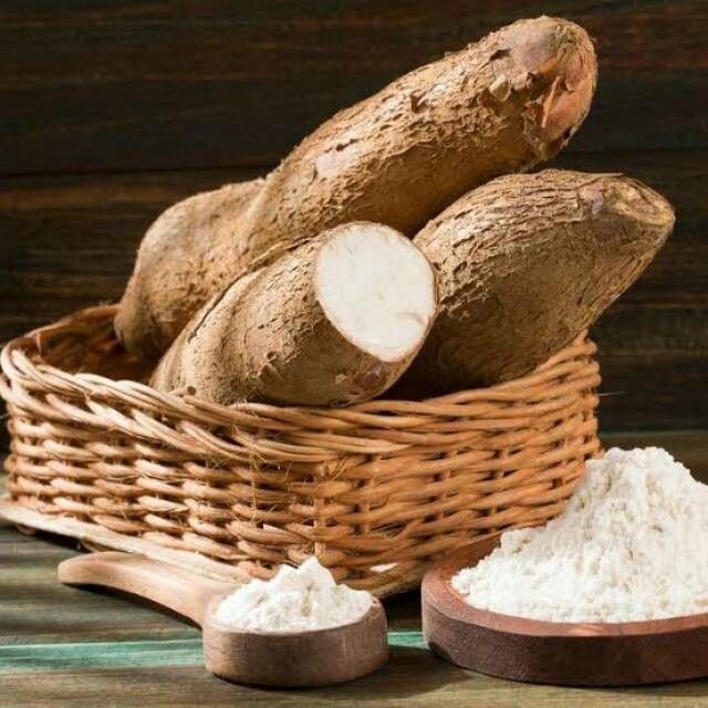 

Victory Seed Ketela Singkong (Isi 1000 Gram)