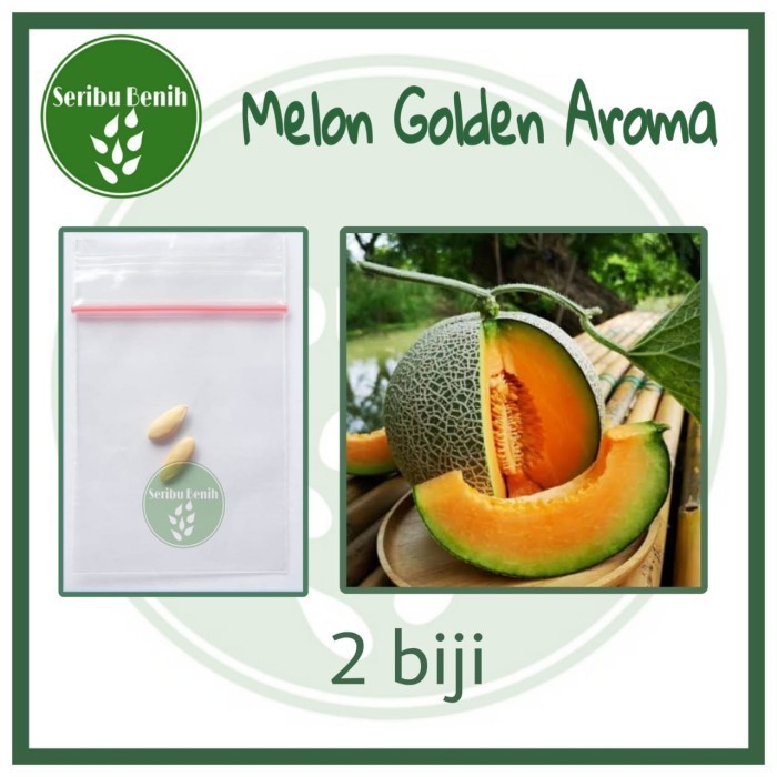 2 Benih Melon Red Aroma - Bibit Buah Melon Daging Orange Repack TOP