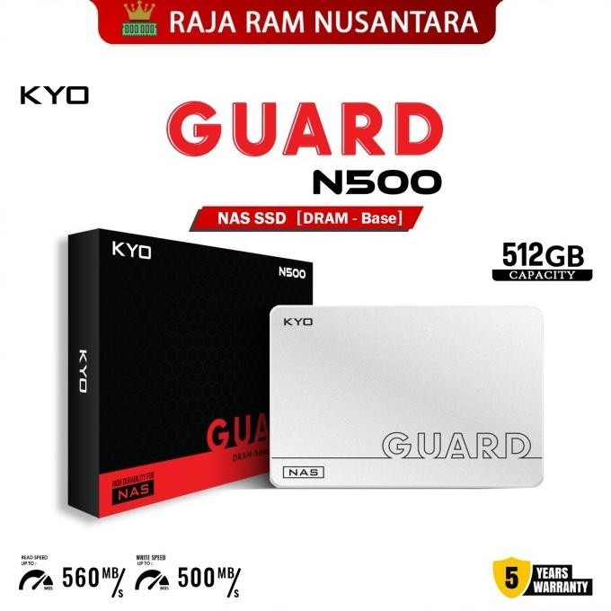 Kyo Guard N500 Dram Ssd 512Gb Sata Iii 3D Nand Tlc Nas Ssd