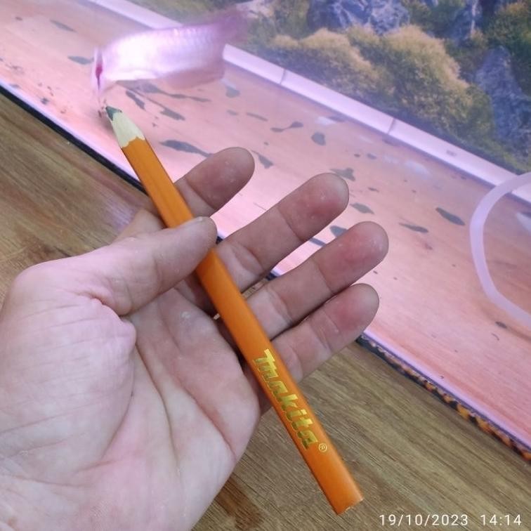 

pensil makita panjang 18cm / pensil tukang merk makita asli q236