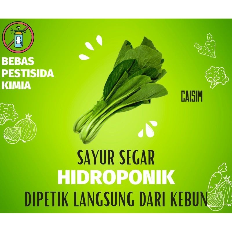 

{ 250 Gram } ( HIDROPONIK ) SAYUR SEGAR CAISIM FRESH VEGETABLE CESIM CESIN