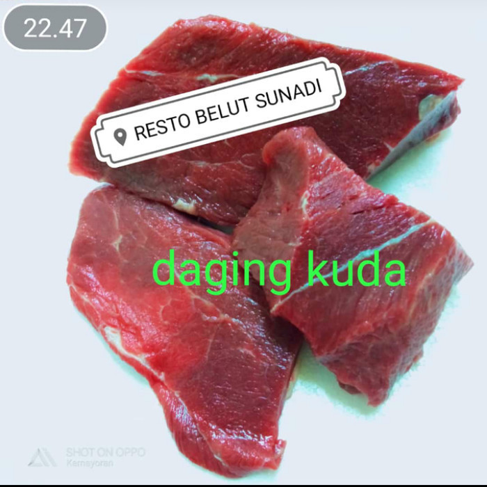 Uinn - Daging Kuda Fresh Beku Frozen Food Baik Untuk Stamina