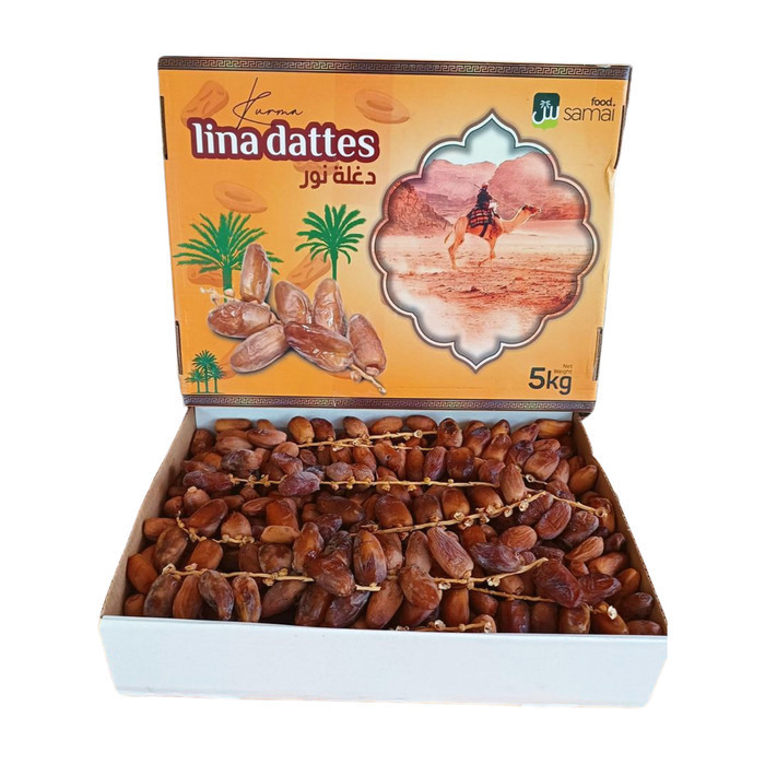 

Kurma Tangkai 5 kg Deglet Nour Stokis kurma Grosir