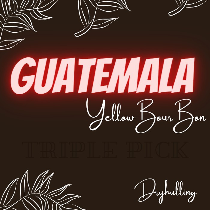 

Green Bean / Biji Kopi Arabika Guatemala Bourbon - Dryhulling