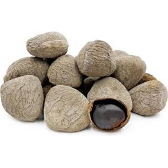 

Online Seeds Buah Kluwek Pucung - 1000 Gram