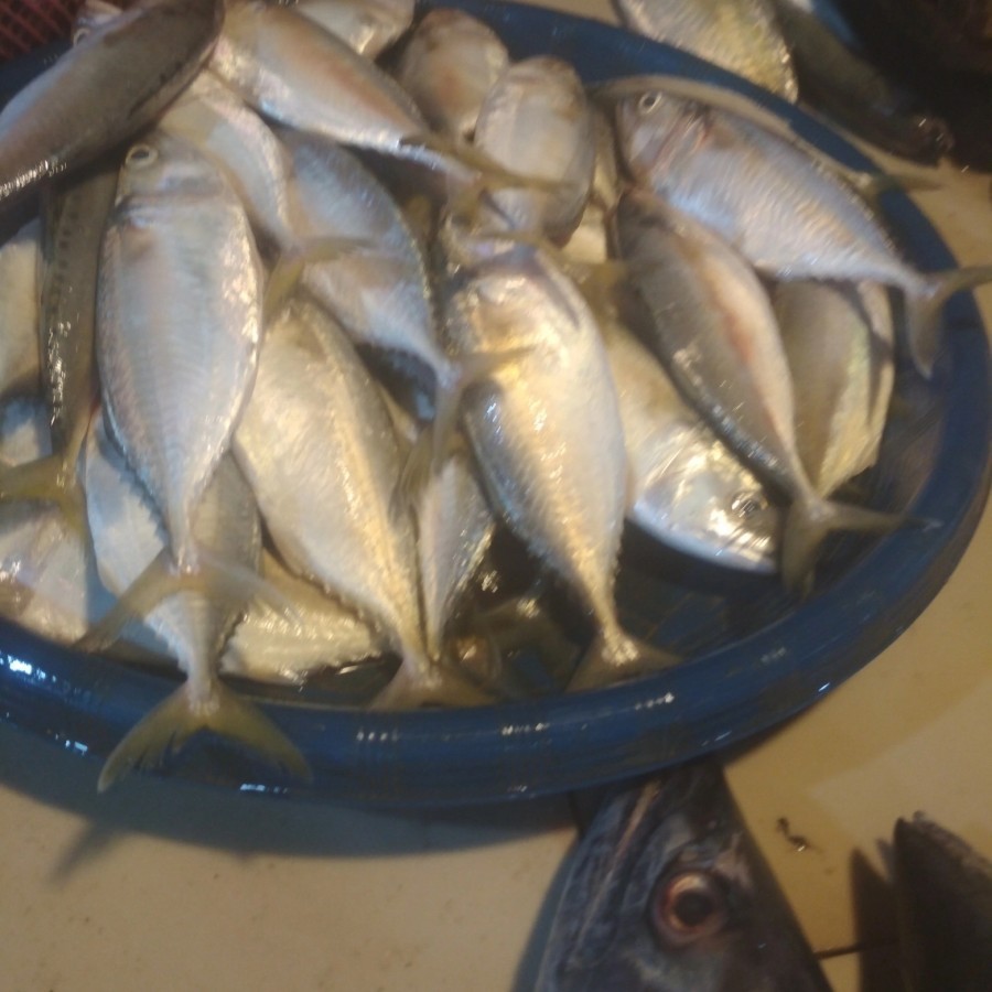 

ikan kembung biasa per½kg