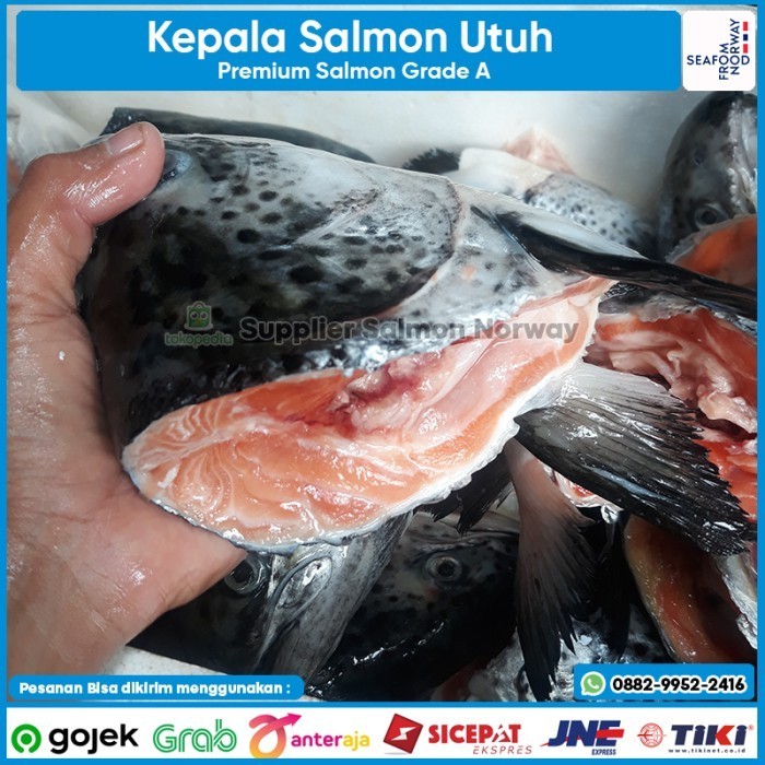 

Ayala - Kepala Utuhan Salmon 1Kg/Head Salmon Fish Seafood