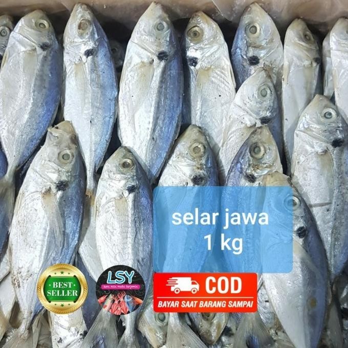 

ikan asin selar size jumbo 1kg