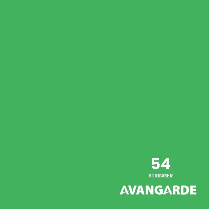 Avangarde Seamless Background Paper - 54 Stinger