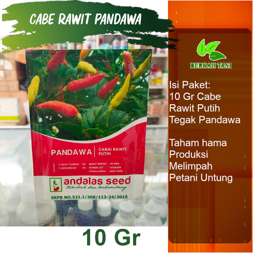 Benih Cabe Rawit Putih Tegak Pandawa 10 Gram