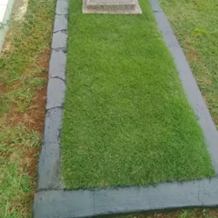 Paket Rumput Jepang Untuk 1 Makam