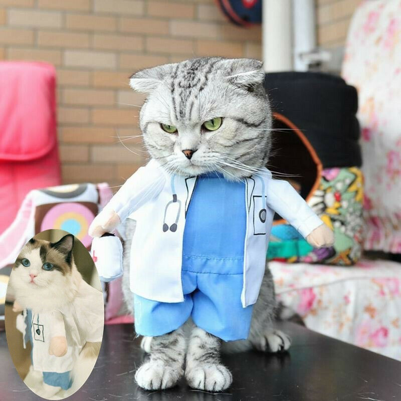 KOSTUM DOKTER CINTA - Baju Hewan Kucing Anjing Unik Dokter