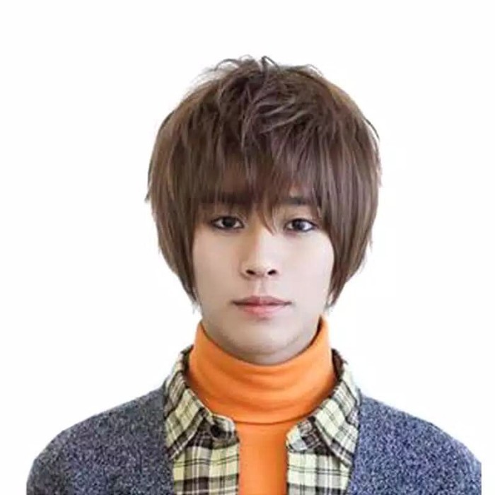 Wig Rambut Pria Model Korea Warna Coklat