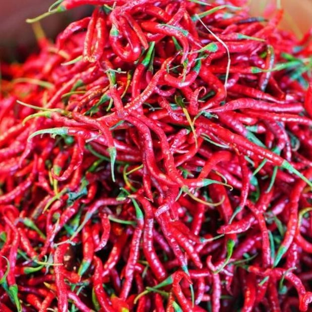 

Cabe / Cabai Merah Keriting 500 Gr