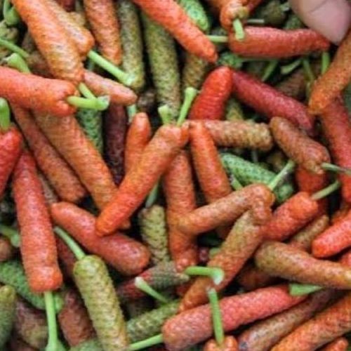 KedaiBenih Buah Cabe Jawa Kering ~ 10 Gram