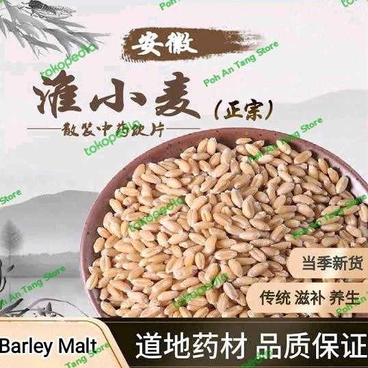

Roux TCM Herb Barley Sprouts Fructus Seed Fu Siau Mai / Mai Ya