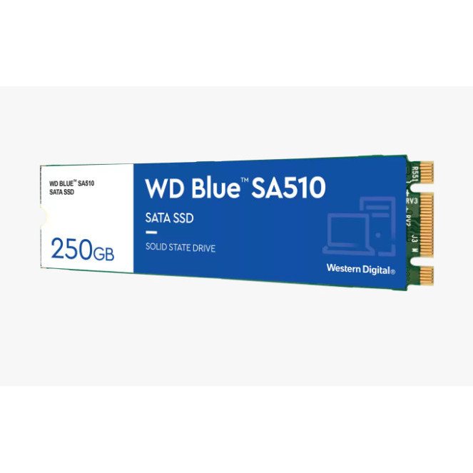 WD SSD BLUE 250GB / M.2 2280 SATA SSD / 3D NAND SSD / 5 YEARS WARRANTY ORIGINAL BEST QUALITY