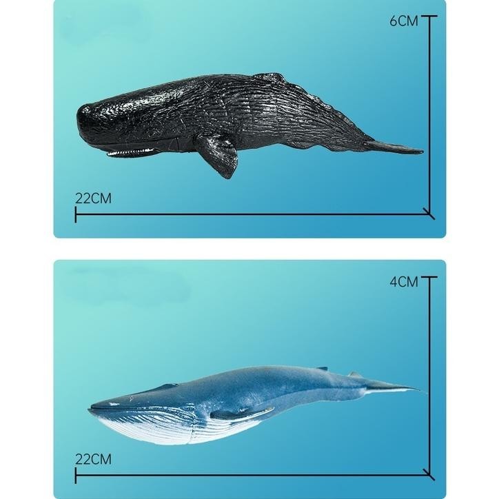 Mainan Binatang Laut Karet Figure Hewan Laut Sea Animal Model Toys Koleksi Bahan PVC Shark Paus BANY