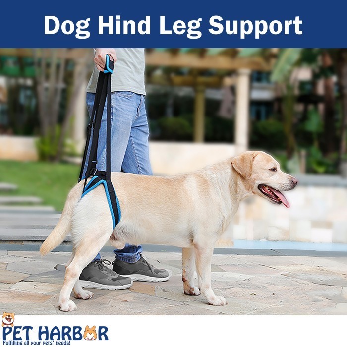 DOG LEG SUPPORT / DOG LIFTING HARNESS / ALAT BANTU JALAN ANJING/ STRA